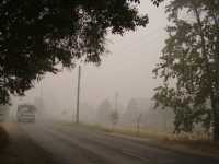 Город Павлово обложила дымовая завеса от горящих лесов и торфяников в соседних районах.