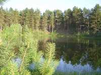 Озеро недалеко от  деревни Рыльково в Нижегородской области