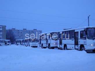 Автобусы ПАЗ-3204