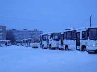 Автобусы ПАЗ-3204           