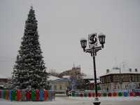 Елка на центральной площади в городе Павлово