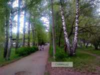 Парк им. 40 лет ВЛКСМ в городе Павлово